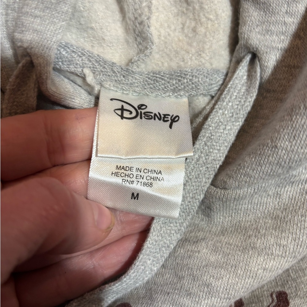 Disney Gray Sweatshirt with Hoodie Hakuna Matata Size M NWOT - Picture 7 of 7